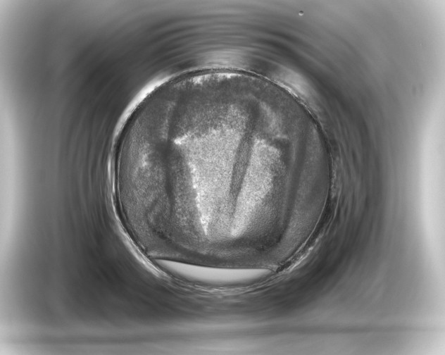 X0000084560796200703161703