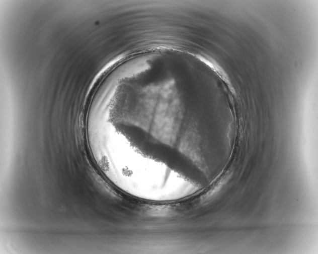 X0000084560798200703161703