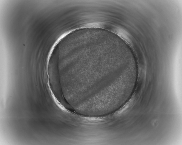 X0000084560800200703161703