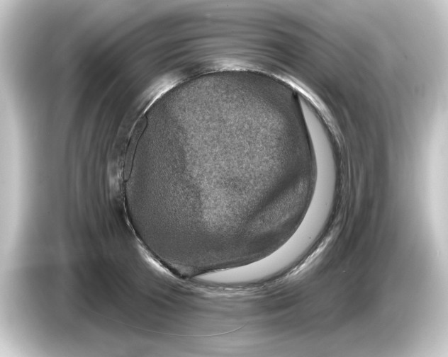 X0000084560801200703161703