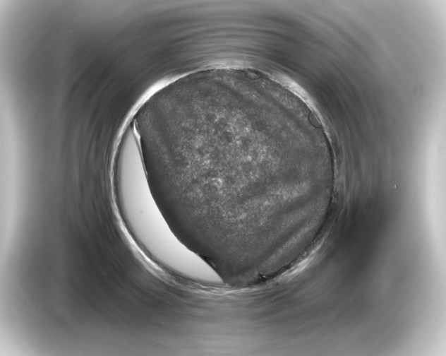 X0000084560803200703161703