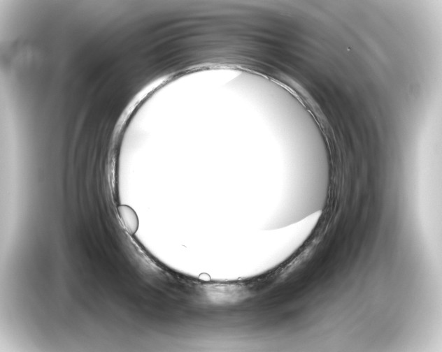 X0000084560804200703161703