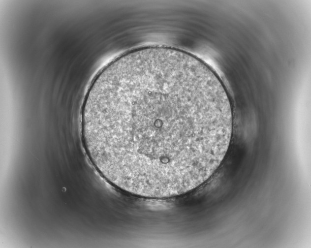 X0000084560807200703161703