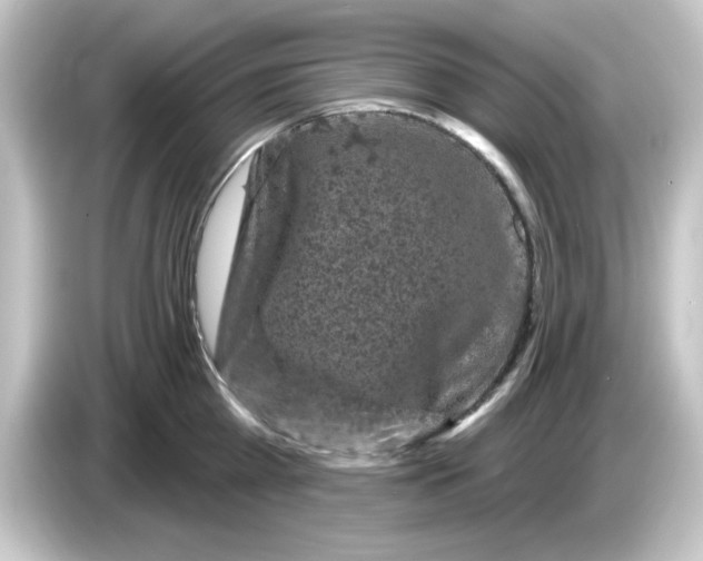 X0000084560809200703161703