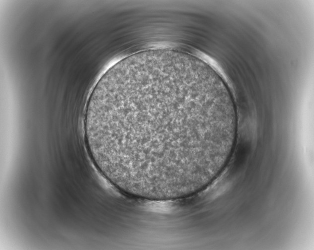 X0000084560810200703161703