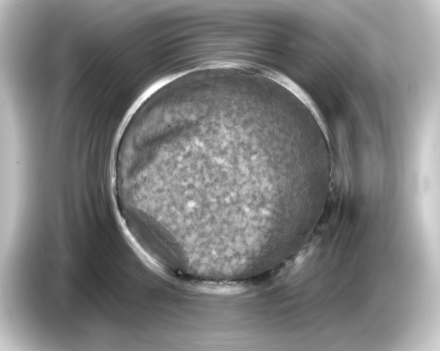 X0000084560811200703161703