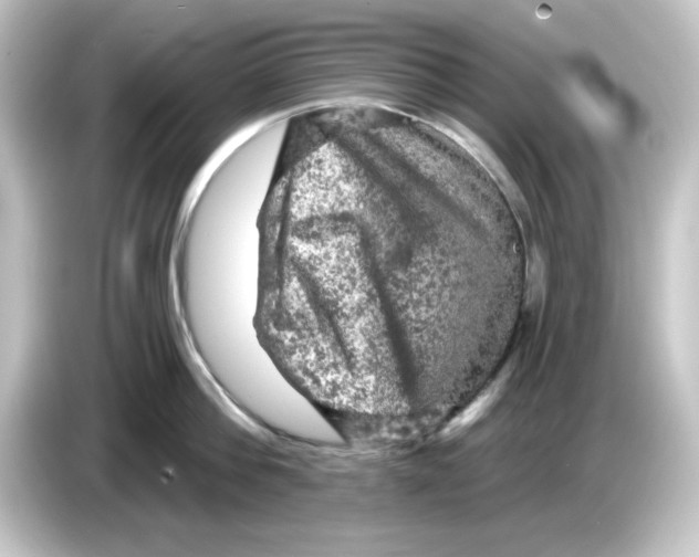 X0000084560812200703161703