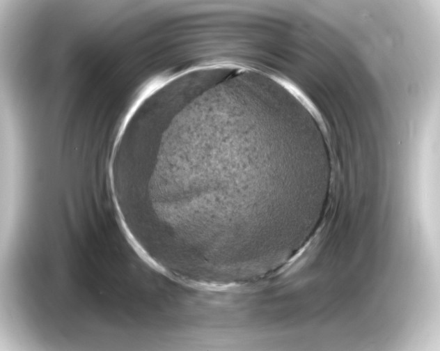 X0000084560813200703161703