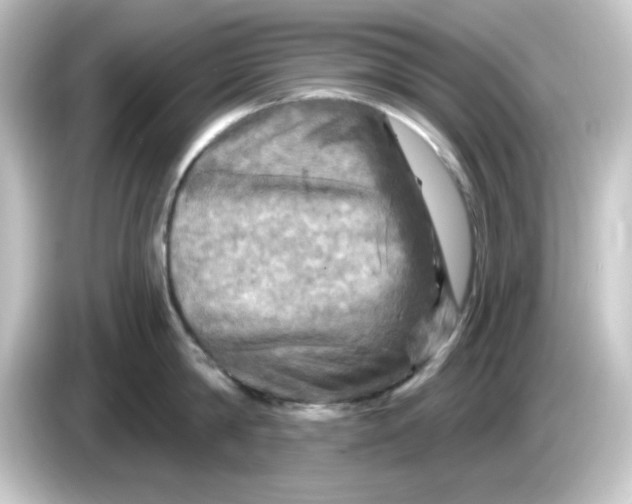 X0000084560814200703161703