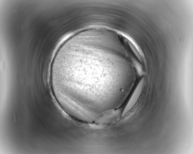 X0000084560815200703161703