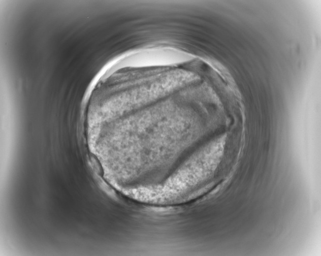 X0000084560816200703161703