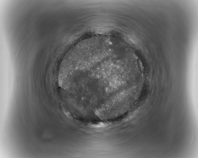 X0000084560817200703161702