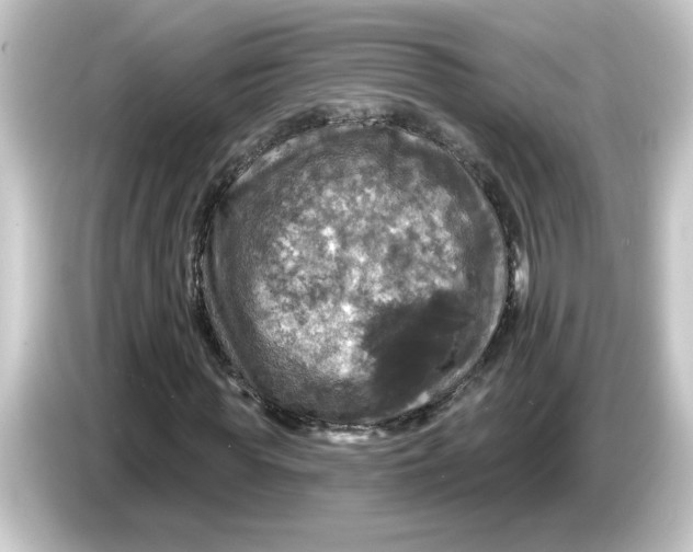 X0000084560819200703161702