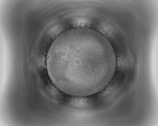 X0000084560820200703161702