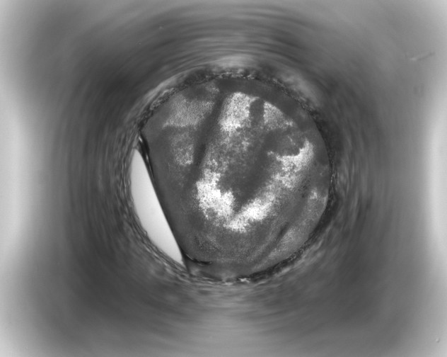 X0000084560821200703161702