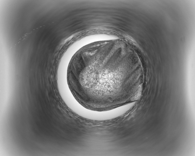 X0000084560822200703161702