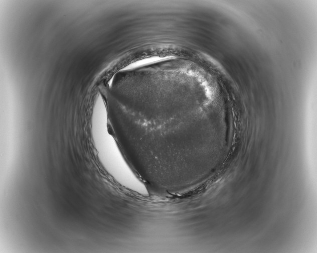 X0000084560823200703161702