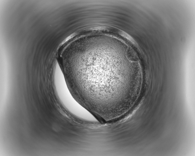 X0000084560826200703161703