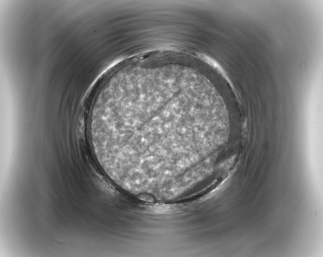 X0000084560827200703161703