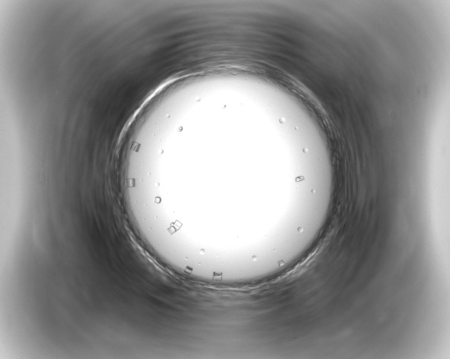 X0000084560828200703161703