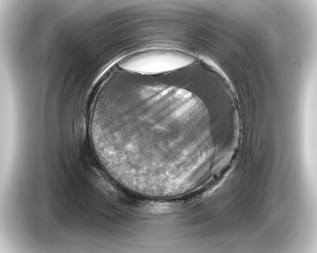 X0000084560829200703161703