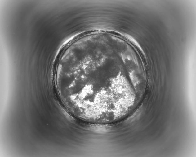 X0000084560831200703161703