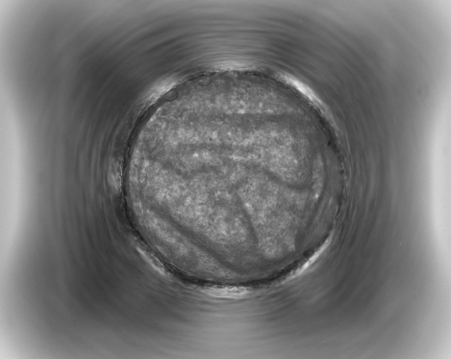 X0000084560833200703161703