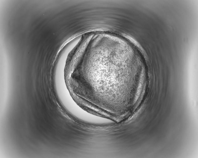 X0000084560834200703161703