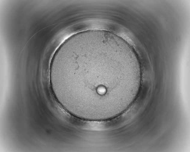 X0000084560836200703161703