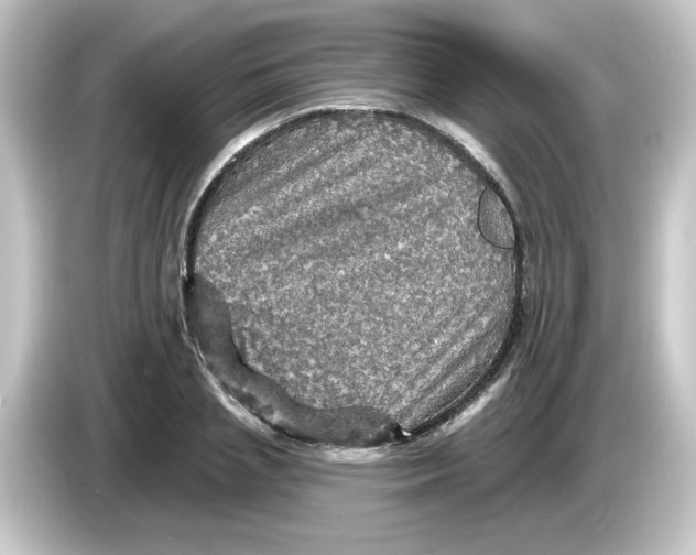 X0000084560837200703161703