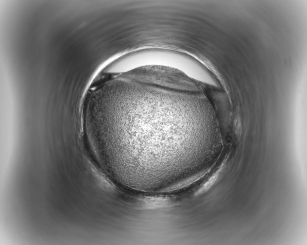 X0000084560838200703161703