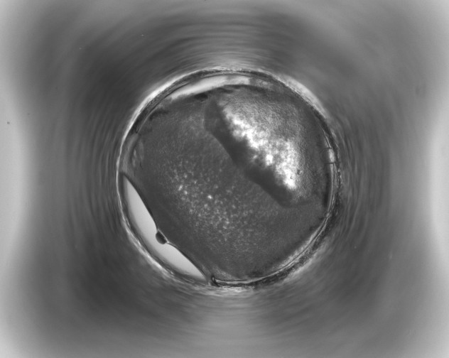 X0000084560839200703161703