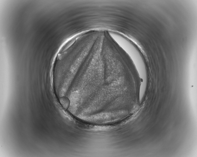 X0000084560840200703161703