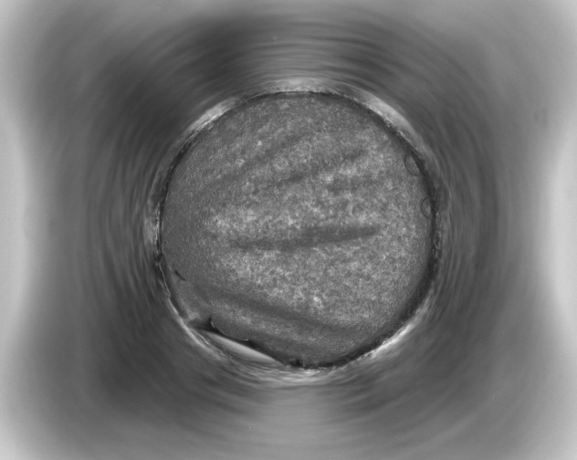 X0000084560841200703161703