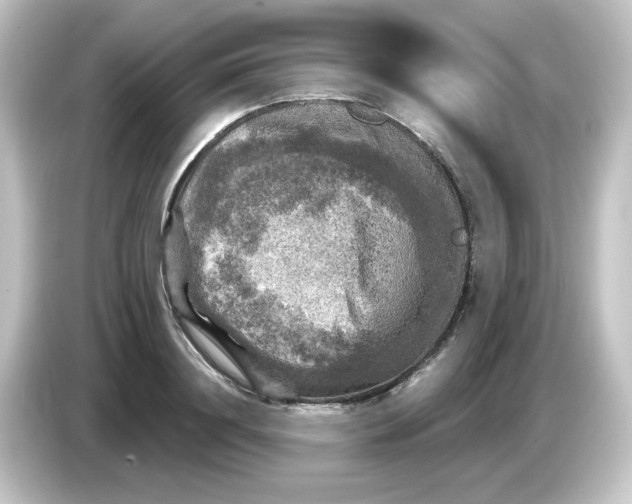 X0000084560844200703161703