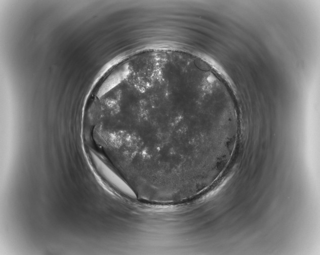 X0000084560845200703161703