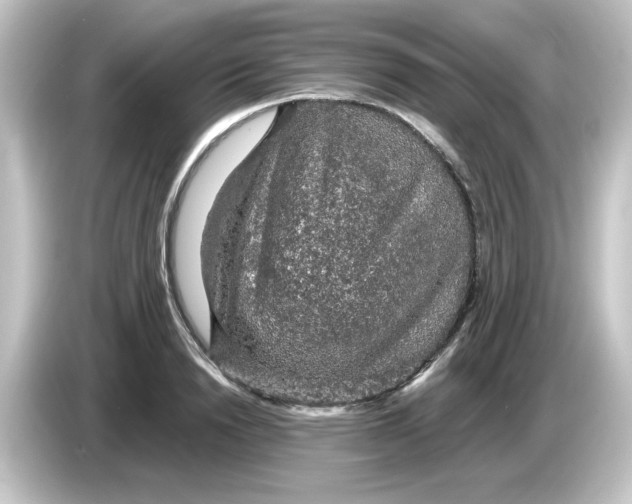 X0000084560846200703161703