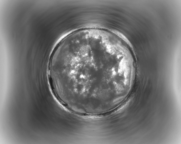 X0000084560847200703161703