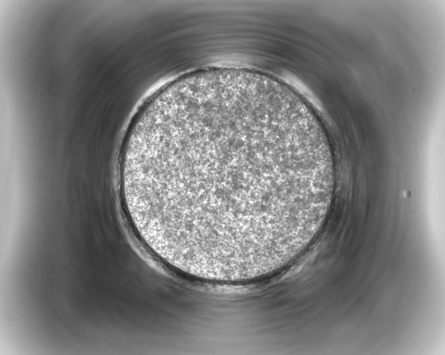 X0000084560848200703161703