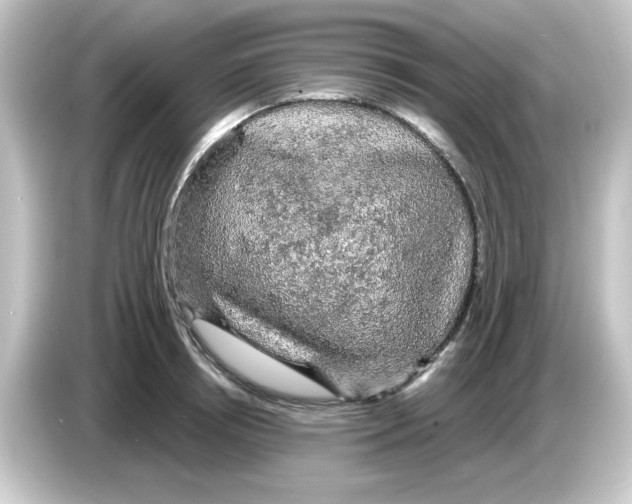 X0000084560850200703161703