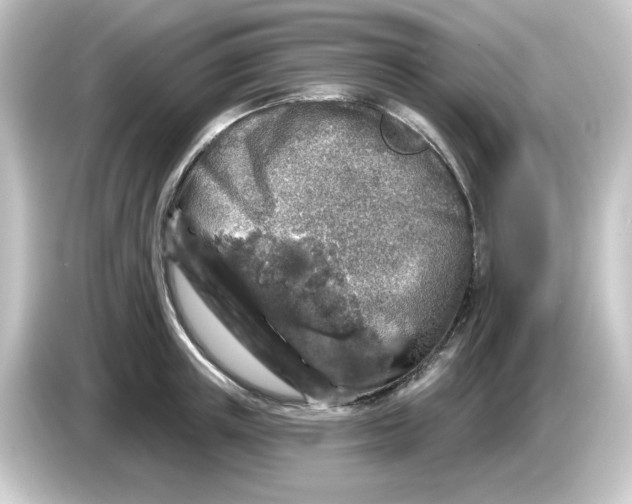 X0000084560851200703161703