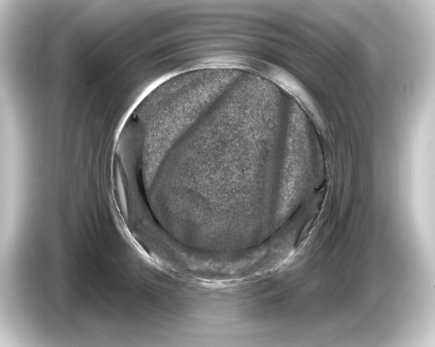 X0000084560852200703161703