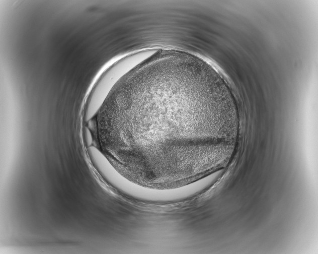 X0000084560854200703161703