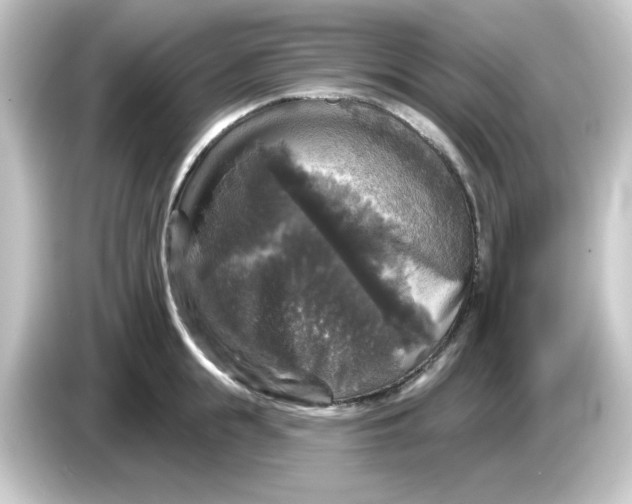 X0000084560855200703161703