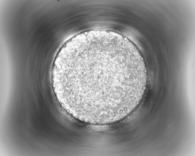 X0000084560856200703161703