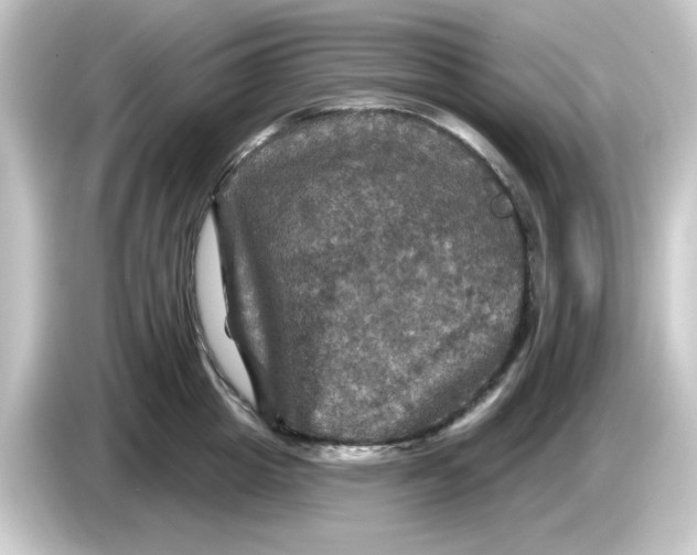 X0000084560857200703161703