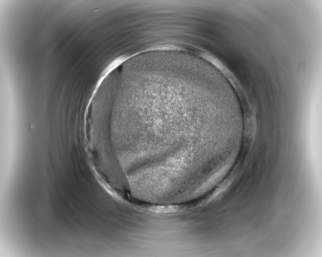 X0000084560858200703161703