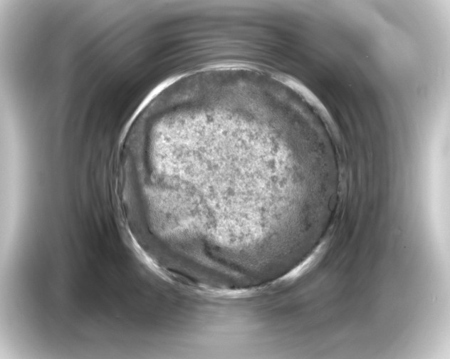 X0000084560860200703161703