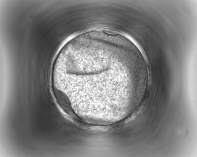 X0000084560861200703161703