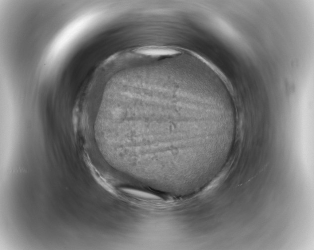 X0000084560862200703161703